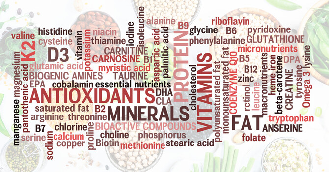The Micronutrient–Microbiome Connection image