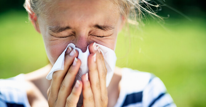 Allergy Season Survival